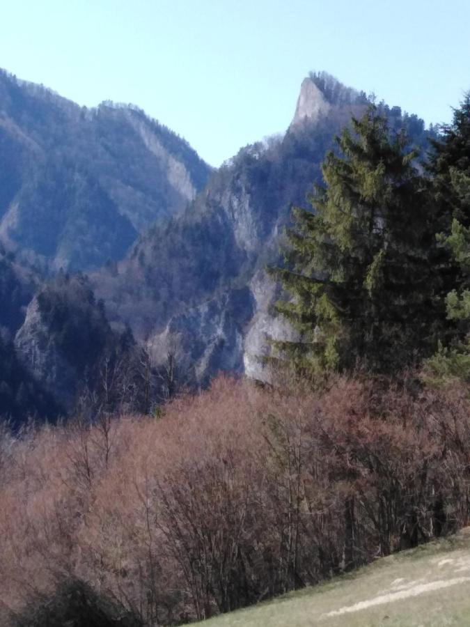 Chata Holica Pieniny Lesnica المظهر الخارجي الصورة