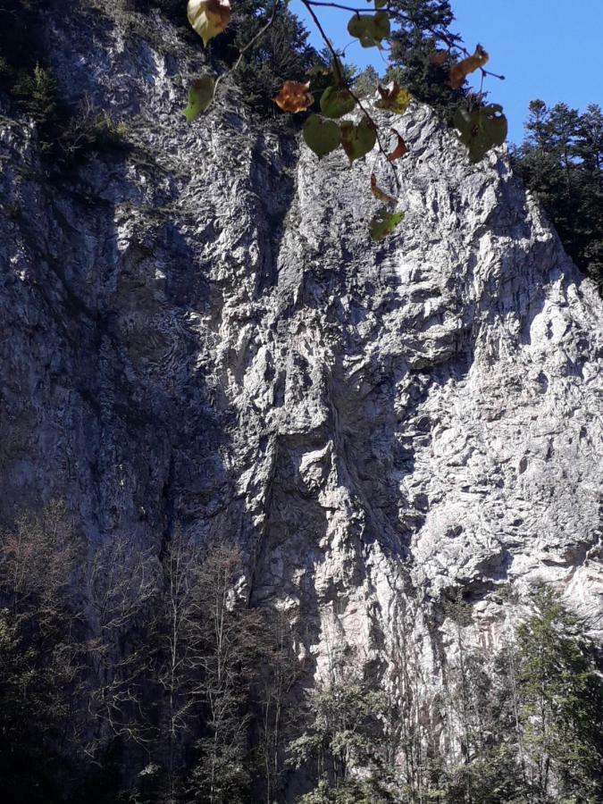 Chata Holica Pieniny Lesnica المظهر الخارجي الصورة