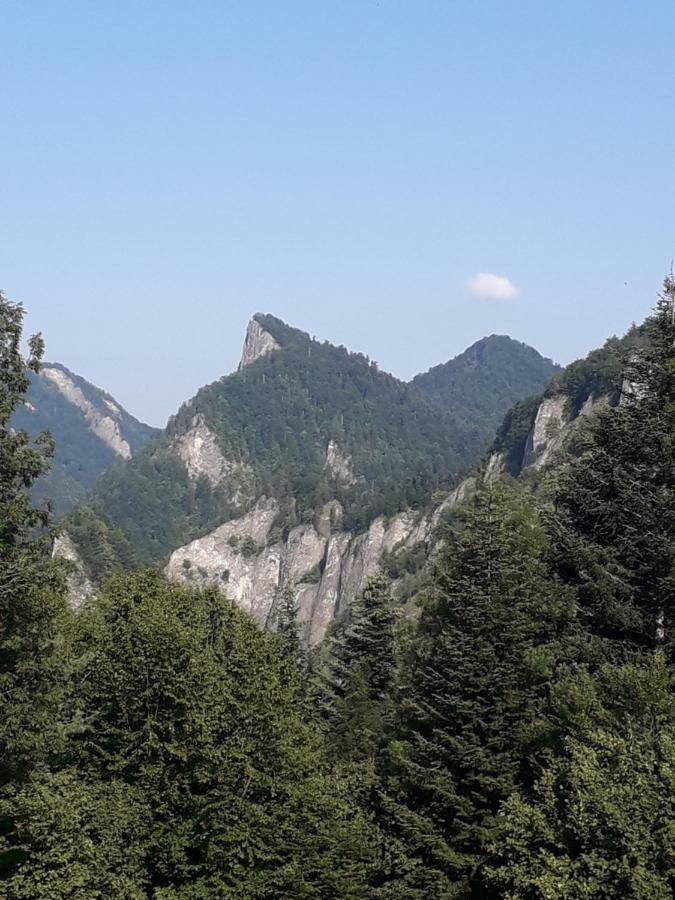 Chata Holica Pieniny Lesnica المظهر الخارجي الصورة