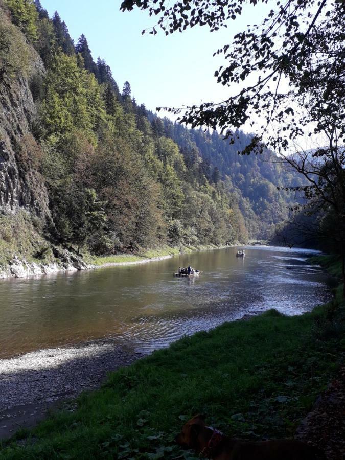 Chata Holica Pieniny Lesnica المظهر الخارجي الصورة