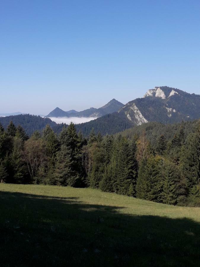 Chata Holica Pieniny Lesnica المظهر الخارجي الصورة