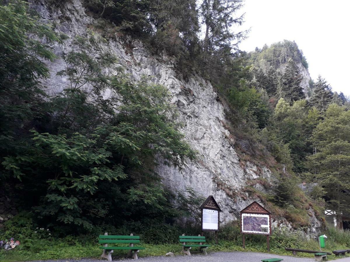 Chata Holica Pieniny Lesnica المظهر الخارجي الصورة
