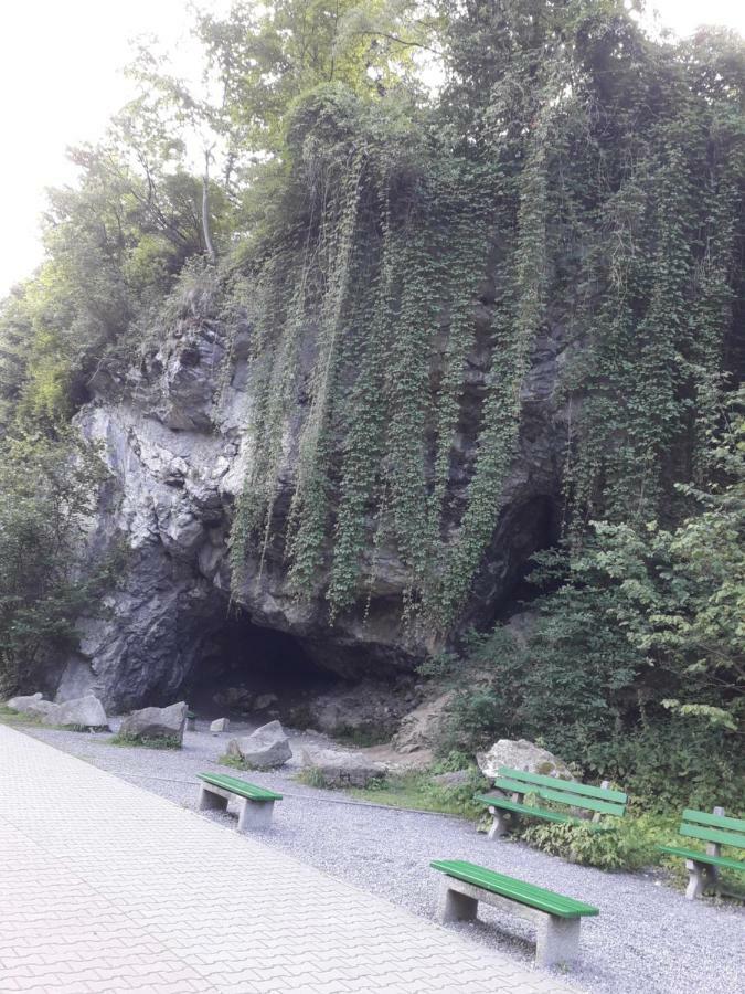 Chata Holica Pieniny Lesnica المظهر الخارجي الصورة