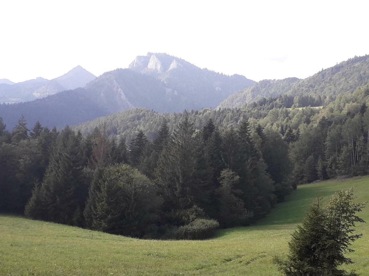 Chata Holica Pieniny Lesnica المظهر الخارجي الصورة